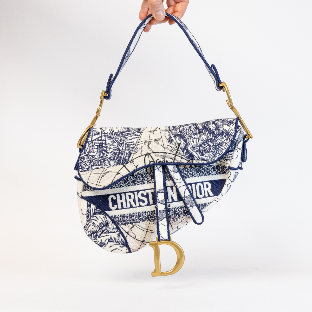 Christian Dior Saddle The World Tasche